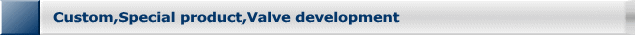 Custom,Special product,Valve development
